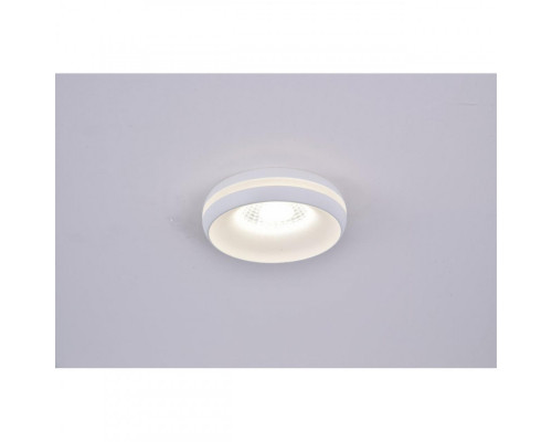 Оформить заказ Накладной светильник Omnilux OML-102809-01| VIVID-LIGHT.RU