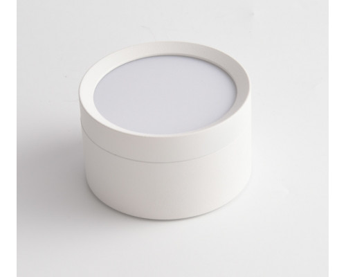 Купить Накладной светильник Maytoni Technical C086CL-GX53-SRD-W| VIVID-LIGHT.RU