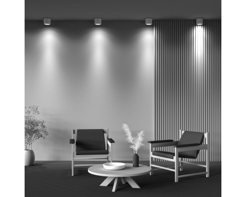 Сделать заказ Накладной светильник Maytoni Technical C064CL-01-25W3K-D-RD-WB| VIVID-LIGHT.RU