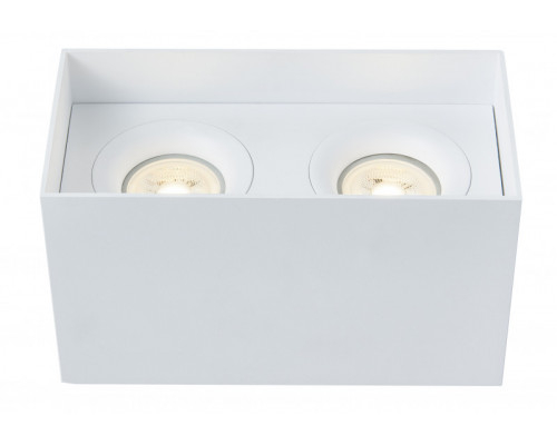 Оформить заказ Накладной светильник Maytoni Technical C015CL-02W| VIVID-LIGHT.RU