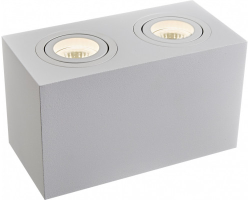 Оформить заказ Накладной светильник Maytoni Technical C017CL-02W| VIVID-LIGHT.RU