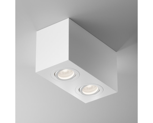 Оформить заказ Накладной светильник Maytoni Technical C017CL-02W| VIVID-LIGHT.RU