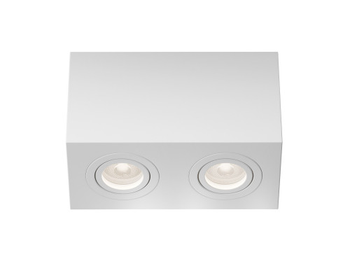 Оформить заказ Накладной светильник Maytoni Technical C017CL-02W| VIVID-LIGHT.RU