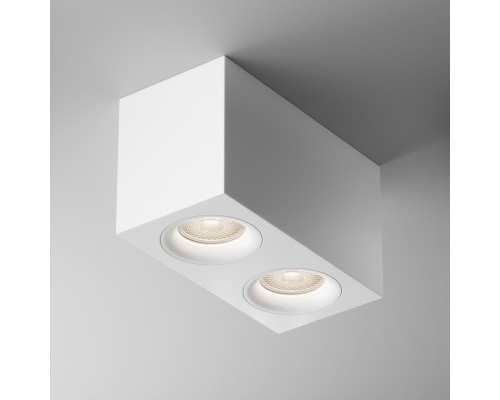 Заказать Накладной светильник Maytoni Technical C013CL-02W| VIVID-LIGHT.RU