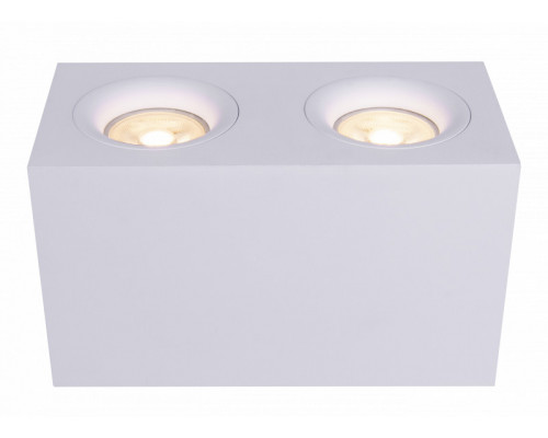 Заказать Накладной светильник Maytoni Technical C013CL-02W| VIVID-LIGHT.RU