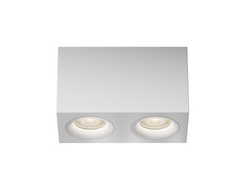 Заказать Накладной светильник Maytoni Technical C013CL-02W| VIVID-LIGHT.RU