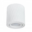 Накладной светильник ARTE Lamp A5559PL-1WH