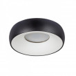 Накладной светильник ARTE Lamp A6665PL-1BK