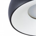 Оформить заказ Накладной светильник ARTE Lamp A6665PL-1BK| VIVID-LIGHT.RU
