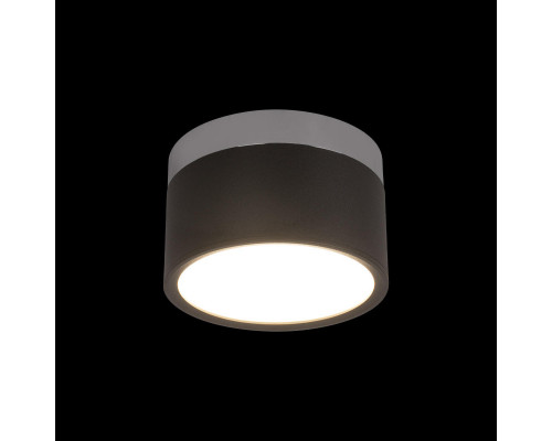 Сделать заказ Накладной светильник LOFT IT 10179/12 Black| VIVID-LIGHT.RU