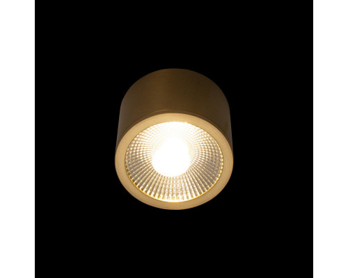 Оформить заказ Накладной светильник LOFT IT 10187/B| VIVID-LIGHT.RU