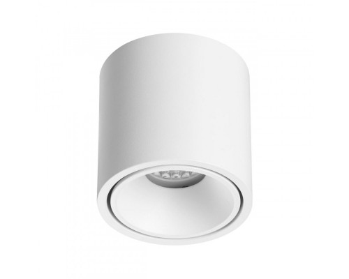 Оформить заказ Накладной светильник Odeon Light 6620/10CL| VIVID-LIGHT.RU