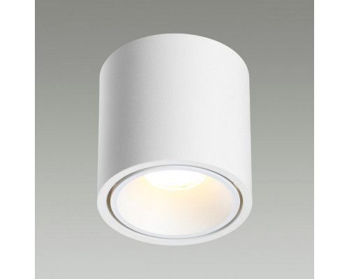 Оформить заказ Накладной светильник Odeon Light 6620/10CL| VIVID-LIGHT.RU