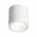 Оформить заказ Накладной светильник Odeon Light 6620/10CL| VIVID-LIGHT.RU