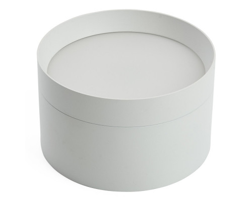 Сделать заказ Накладной светильник Feron 48299| VIVID-LIGHT.RU