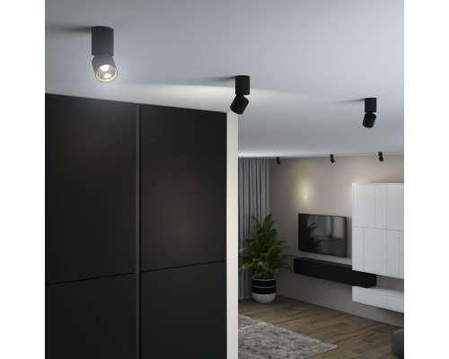 Оформить заказ Накладной светильник Elektrostandard 25042/LED 10W 4000K чёрный| VIVID-LIGHT.RU