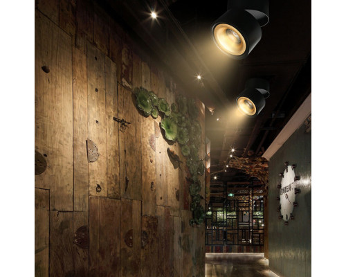 Сделать заказ Накладной светильник ImperiumLoft 191830-26| VIVID-LIGHT.RU