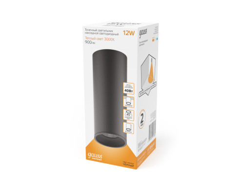 Купить Накладной светильник Gauss HD029| VIVID-LIGHT.RU