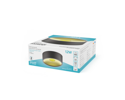 Заказать Накладной светильник Gauss HD040| VIVID-LIGHT.RU