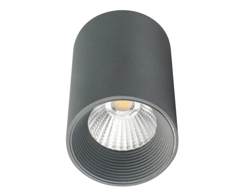 Сделать заказ Накладной светильник Escada 20003SMU/01LED SGY| VIVID-LIGHT.RU