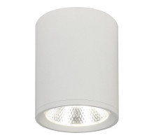 Накладной светильник Escada 20003SMU/02LED SWH