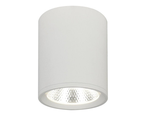 Сделать заказ Накладной светильник Escada 20003SMU/02LED SWH| VIVID-LIGHT.RU