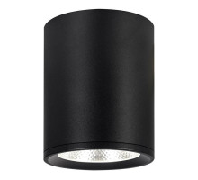 Накладной светильник Escada 20003SMU/02LED SBK