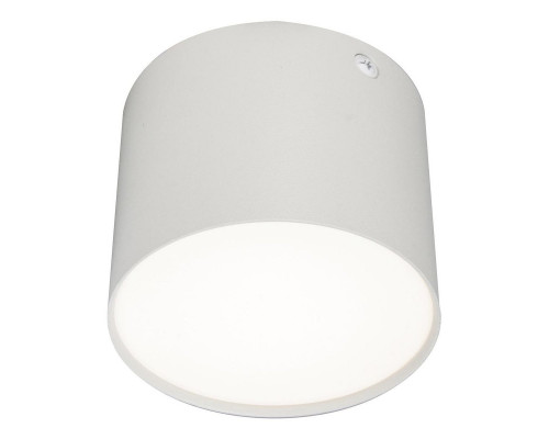 Оформить заказ Накладной светильник Escada 20004SMU/01LED SWH| VIVID-LIGHT.RU