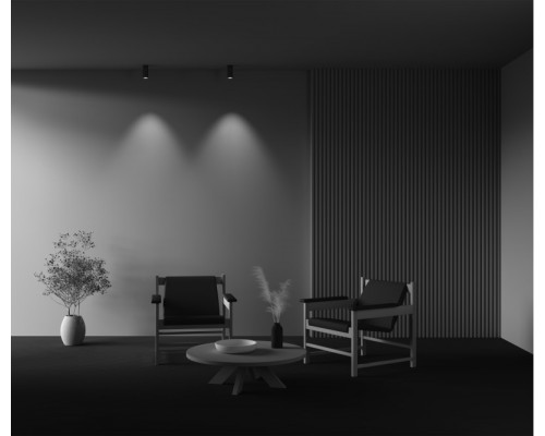 Купить Накладной светильник Maytoni Technical C056CL-L12W3K-W-BS| VIVID-LIGHT.RU