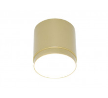 Накладной светильник Maytoni Technical C088CL-GX53-MG