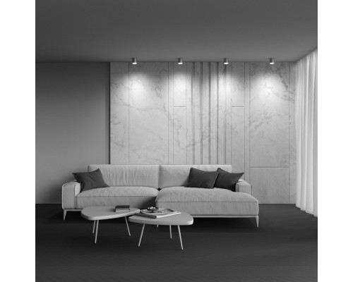 Оформить заказ Накладной светильник Maytoni Technical C088CL-GX53-S| VIVID-LIGHT.RU