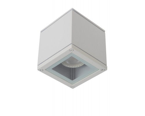 Оформить заказ Накладной светильник LUCIDE 22963/01/31| VIVID-LIGHT.RU