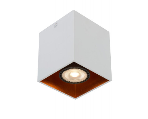 Сделать заказ Накладной светильник LUCIDE 22966/01/31| VIVID-LIGHT.RU