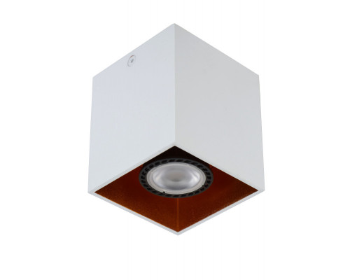 Сделать заказ Накладной светильник LUCIDE 22966/01/31| VIVID-LIGHT.RU