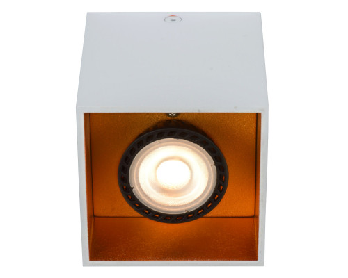 Сделать заказ Накладной светильник LUCIDE 22966/01/31| VIVID-LIGHT.RU