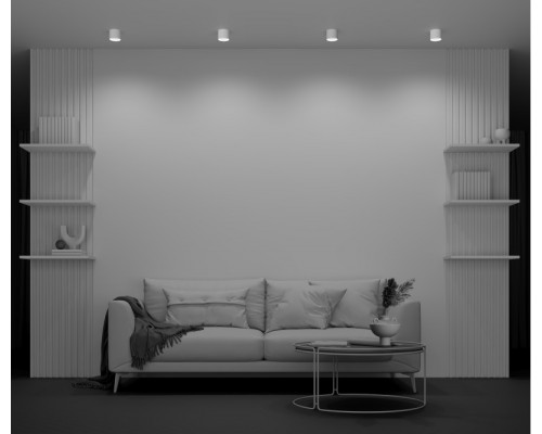 Заказать Накладной светильник Maytoni Technical C096CL-GX53-W| VIVID-LIGHT.RU