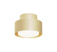 Накладной светильник Maytoni Technical C092CL-GX53-MG