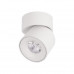 Оформить заказ Накладной светильник LOFT IT 10180 White 3000K| VIVID-LIGHT.RU
