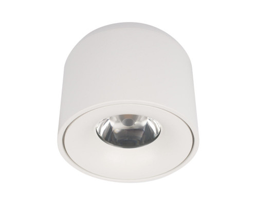 Заказать Накладной светильник LOFT IT 10219 White 4000K| VIVID-LIGHT.RU