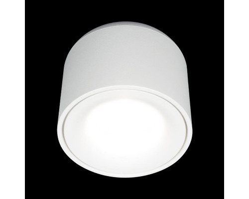 Заказать Накладной светильник LOFT IT 10219 White 4000K| VIVID-LIGHT.RU