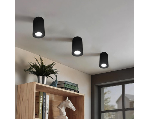 Оформить заказ Накладной светильник LOFT IT 10220 Black 4000K| VIVID-LIGHT.RU