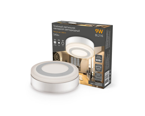 Оформить заказ Накладной светильник Gauss BL216| VIVID-LIGHT.RU