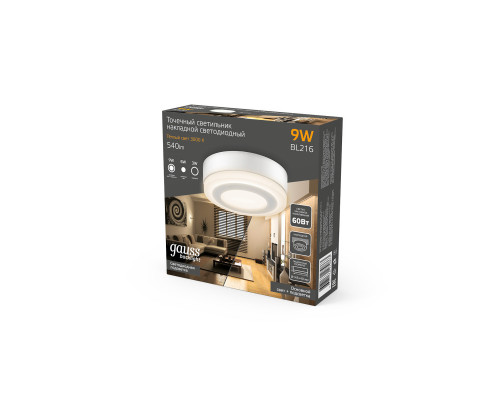 Оформить заказ Накладной светильник Gauss BL216| VIVID-LIGHT.RU