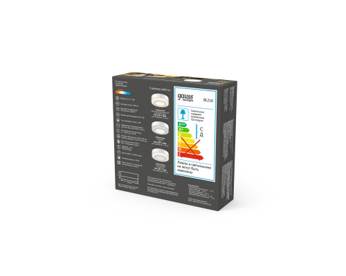 Оформить заказ Накладной светильник Gauss BL216| VIVID-LIGHT.RU