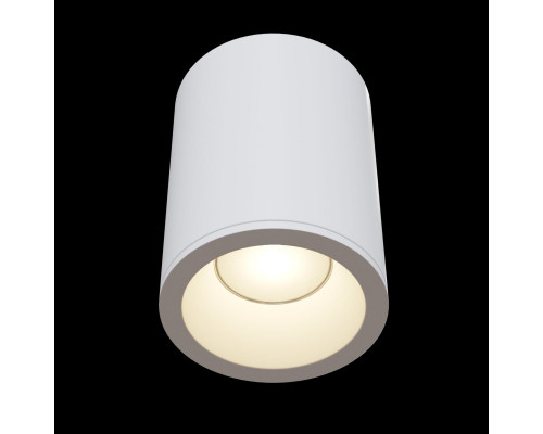 Оформить заказ Влагозащищенный светильник Maytoni Technical C029CL-01W| VIVID-LIGHT.RU