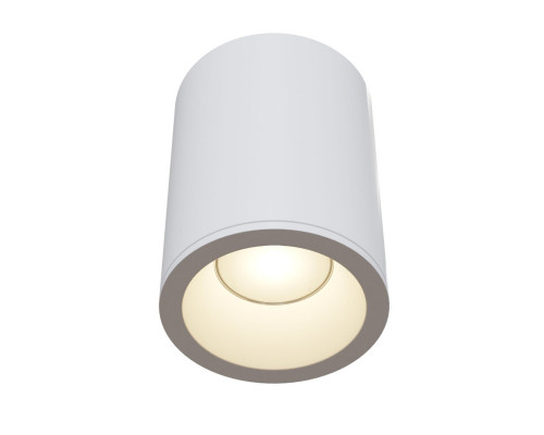 Оформить заказ Влагозащищенный светильник Maytoni Technical C029CL-01W| VIVID-LIGHT.RU