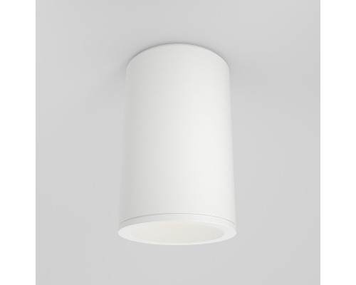 Заказать Влагозащищенный светильник Maytoni Technical C029CL-01-S-W| VIVID-LIGHT.RU