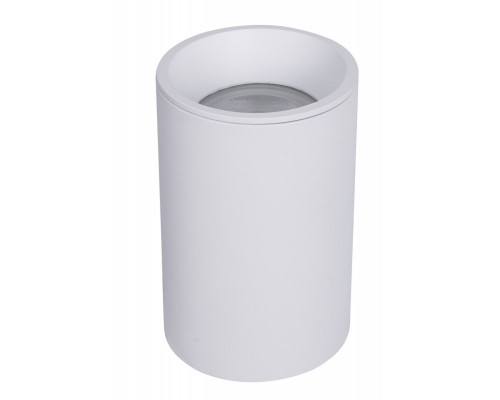 Заказать Влагозащищенный светильник Maytoni Technical C029CL-01-S-W| VIVID-LIGHT.RU