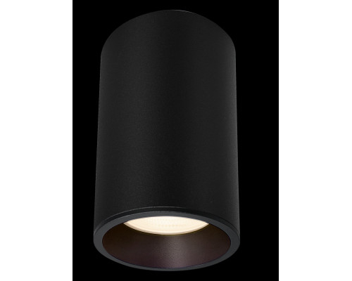 Купить Влагозащищенный светильник Maytoni Technical C029CL-01-S-B| VIVID-LIGHT.RU