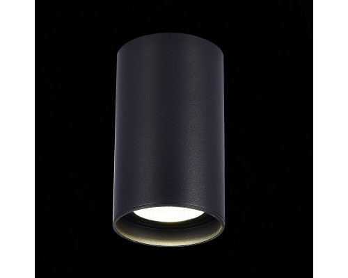 Заказать Влагозащищенный светильник ST-Luce ST157.442.20| VIVID-LIGHT.RU